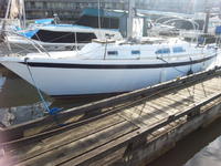 Ericson E29 Click to launch Larger Image
