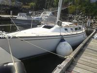 Catalina Yachts Catalina 38  by Sparkman and Stevens Click to launch Larger Image