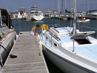 Luger Tradewinds 26 Click to launch Larger Image