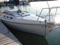 Luger Tradewinds 26 Click to launch Larger Image