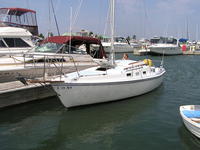 Luger Tradewinds 26 Click to launch Larger Image