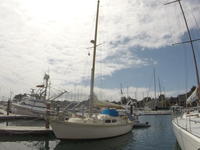 1976 Santa Cruz California 35 Chris Craft Caribbean