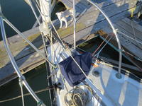 Irwin 30' Click to launch Larger Image