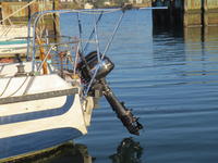 Irwin 30' Click to launch Larger Image