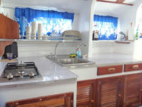 Panglao Island Marine Enterprises Richar Woods VARDO 36' Catamaran Click to launch Larger Image