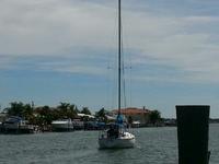 C&C C&C 33 Click to launch Larger Image