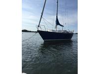 Seidelman S299 Click to launch Larger Image