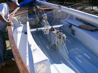 Douglas Mcleod THISTLE Click to launch Larger Image