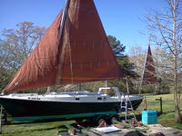 Edey&Duff Shearwater Click to launch Larger Image