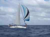 Beneteau First 305 Click to launch Larger Image