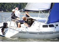 Wellcraft Starwind 27 Click to launch Larger Image