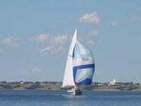 WD Schock Santana 35 Click to launch Larger Image
