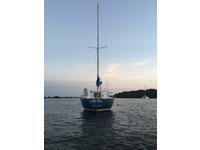 Seidelman S299 Click to launch Larger Image