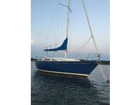Seidelman S299 Click to launch Larger Image