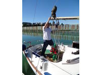 Turun Veneveistaamo Oy Ab Abo Batvarf Kings Cruser Click to launch Larger Image