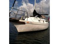 Bayfield Sailboat Click to launch Larger Image