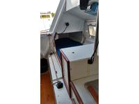 swift marine Swift 30 Plus Click to launch Larger Image