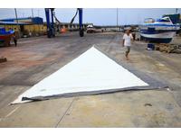 Oysater lightwave 395 Click to launch Larger Image