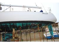 Oysater lightwave 395 Click to launch Larger Image