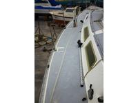 Oysater lightwave 395 Click to launch Larger Image