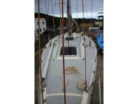 Oysater lightwave 395 Click to launch Larger Image