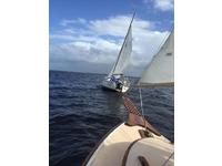 Herreshoff Eagle Click to launch Larger Image