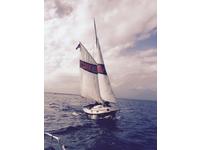 Herreshoff Eagle Click to launch Larger Image