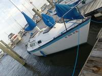 Seidelmann s245 Click to launch Larger Image