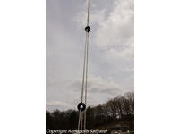 Flying Tiger 10m  Click to launch Larger Image