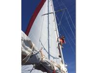 Columbia 36 Sloop Click to launch Larger Image