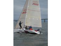 carrera 290 Click to launch Larger Image