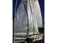 Helms Sail Click to launch Larger Image