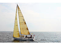 Jim Betts Nelson Marek Click to launch Larger Image