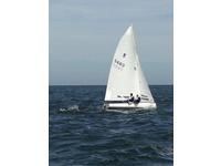 Douglas Mcleod Thistle Click to launch Larger Image