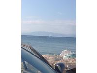 Landi 28 Click to launch Larger Image