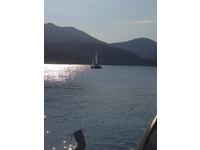 Landi 28 Click to launch Larger Image