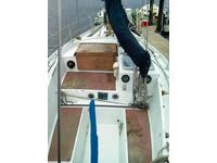 Seb Marine Aloa Click to launch Larger Image