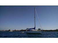 Catalina  Click to launch Larger Image