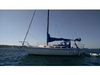 Catalina  Click to launch Larger Image