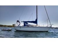 Catalina  Click to launch Larger Image