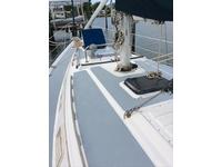 Hunter Hunter Cherubini H37C Click to launch Larger Image