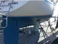 Hunter Hunter Cherubini H37C Click to launch Larger Image