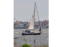 Allmand 31 ft Click to launch Larger Image