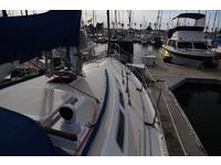 Catalina 36 Click to launch Larger Image