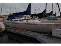 Catalina 36 Click to launch Larger Image