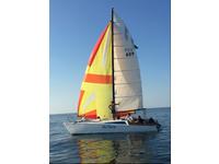 Conser Warrior 29' Click to launch Larger Image