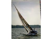Colgate 26 Click to launch Larger Image