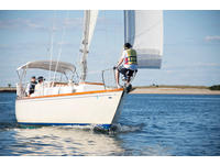 Tartan Tartan 34 Click to launch Larger Image