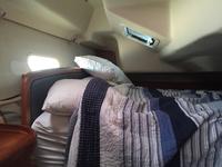 HUNTER Legend 36 Click to launch Larger Image