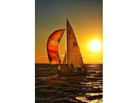 Kirby Kirby 25 Click to launch Larger Image